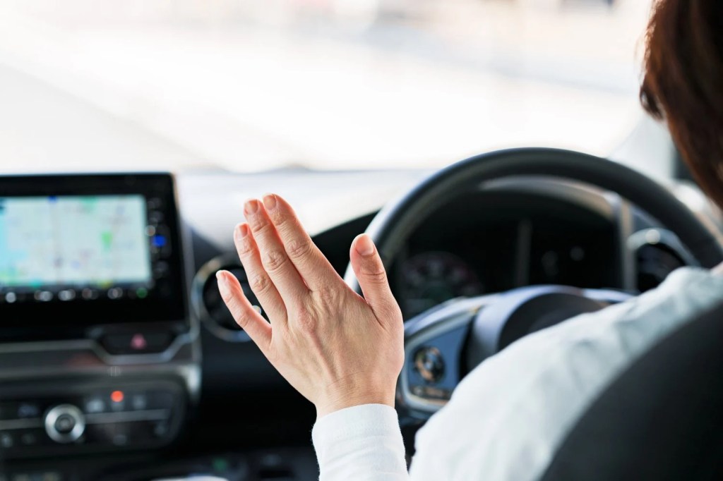 The Flexibility of Self-Driving